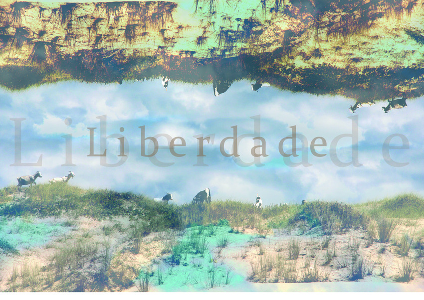 Liberdade - 2015-05-04